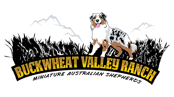 Buckwheat Valley Ranch Buckwheat Valley Ranch